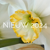 Nieuw in 2025!