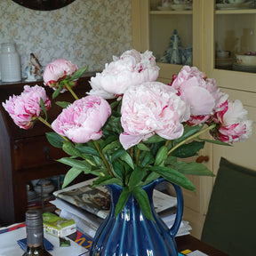 Peony Sarah Bernhardt